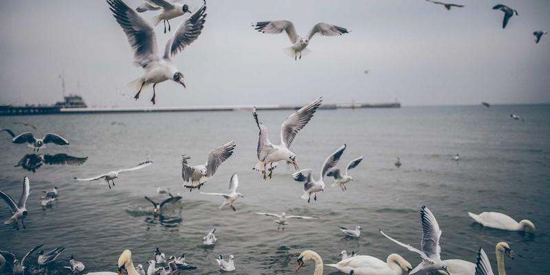 中国法律咨询教程：COA、知识产权与专利申请全流程解析