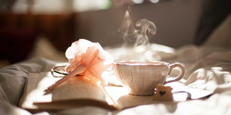 企业法律顾问服务内容与收费标准详解：从COA到版权保护的全面指南