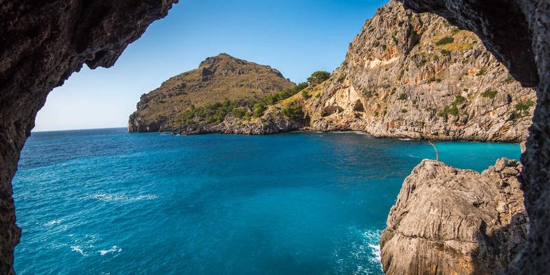 反垄断法修订后，企业如何通过知识产权与版权保护优化经营者集中申报策略