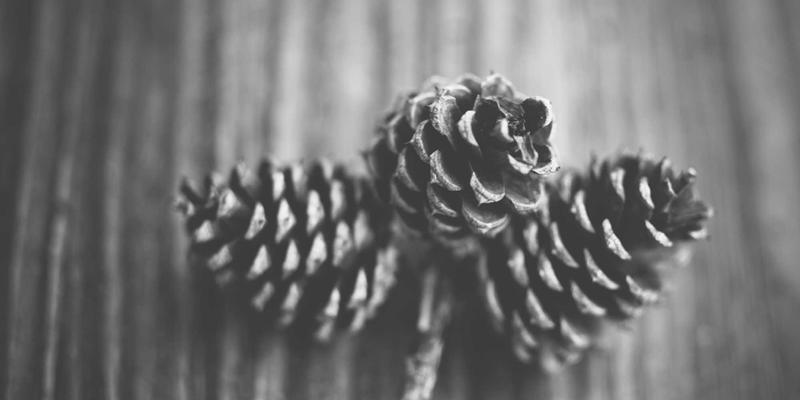 家族信托在财富传承中的法律应用与税务规划解析：兼论商标注册与版权保护的关键作用