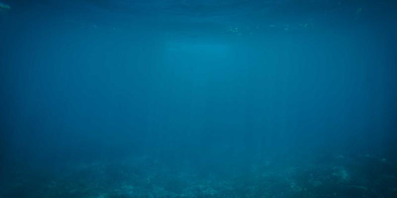 平台经济下新型劳动关系认定与劳动争议解决：商业法律视角下的策略与专利申请、COA实务