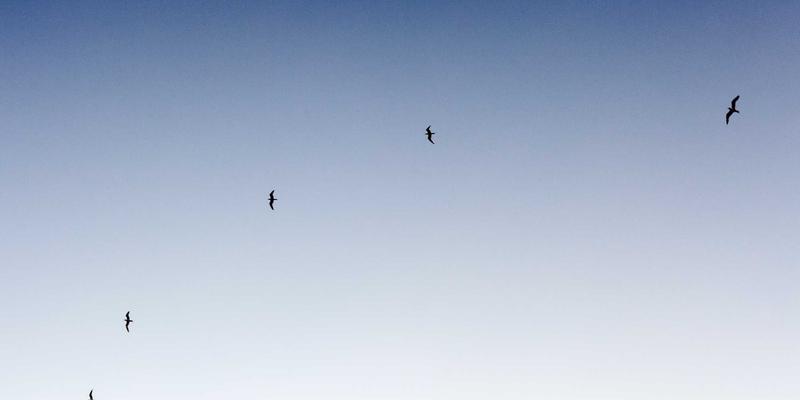 广告宣传合规审查：从《广告法》到直播带货新规的法律红线与知识产权保护