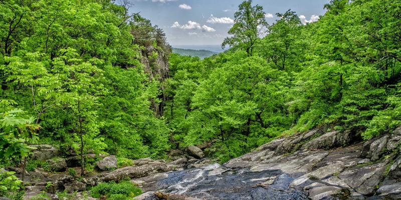 建设工程合同纠纷如何破局？中国法律咨询平台的专业解决方案与知识产权保护