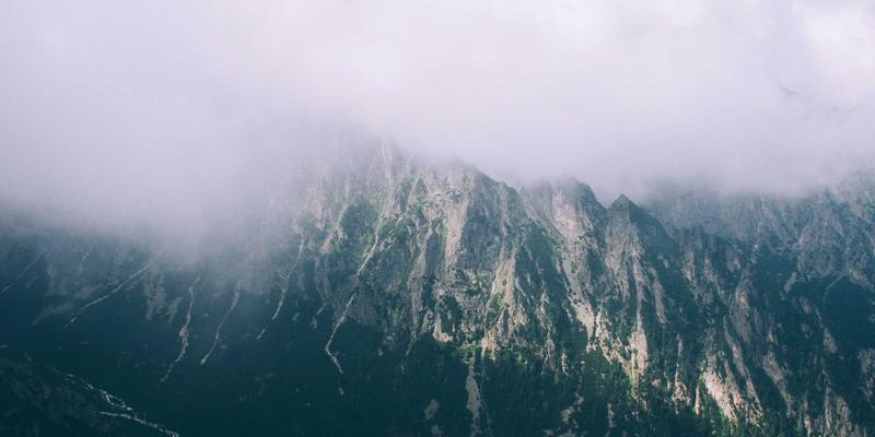 建设工程项目全周期法律风险管控：从招投标到结算的实战指南