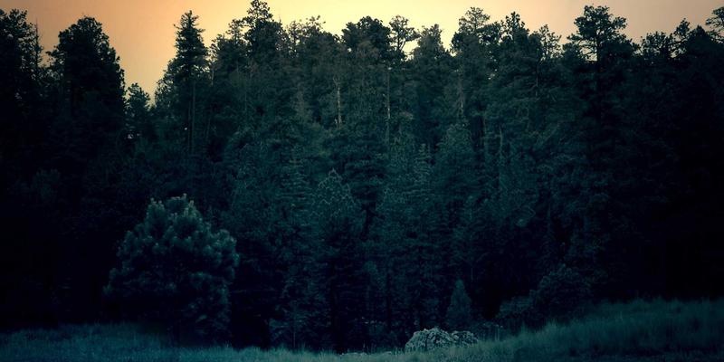 构筑企业护城河：中国法律框架下的商业秘密保护、泄密取证与竞业限制实务指南