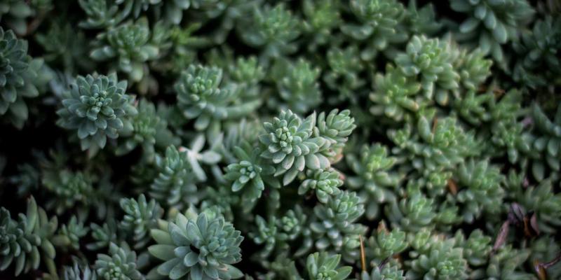 民事诉讼流程全解析：把握版权保护与专利申请的关键法律咨询时间节点