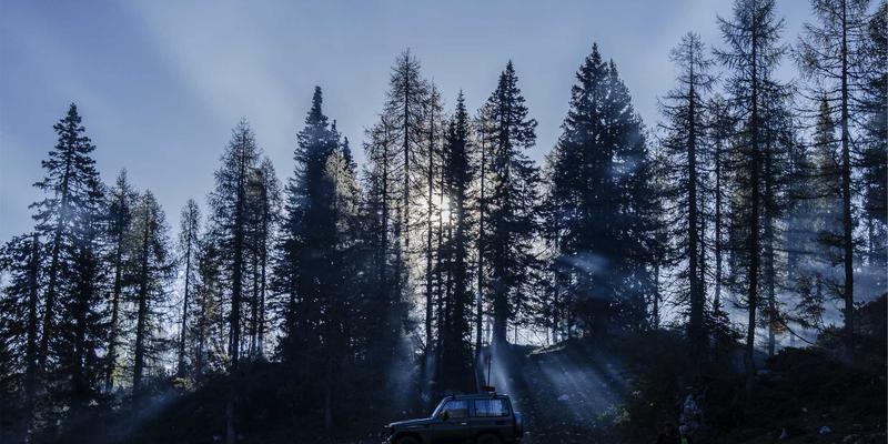 知识产权法律咨询：商标注册与侵权维权的商业护城河