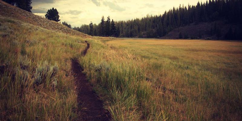 破产重整程序中的债权人会议职权与债务重组方案法律设计：兼顾COA、版权保护与专利申请的实务要点