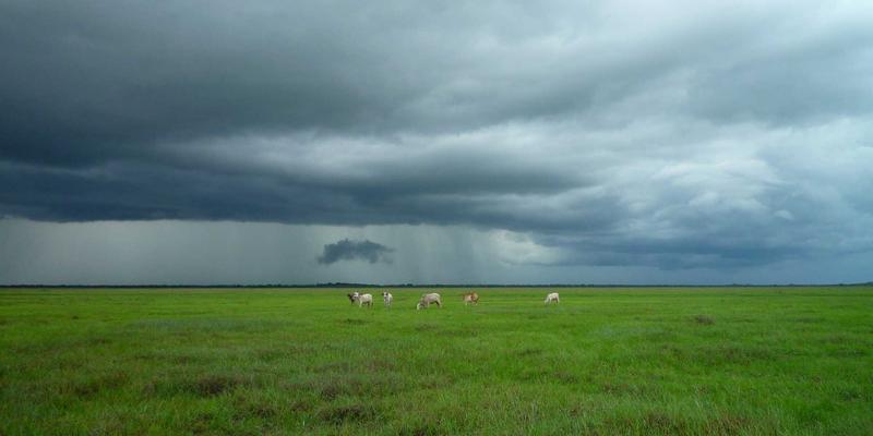 私募股权基金全周期法律指南：从募集、投资到退出，聚焦知识产权风险管控与机遇